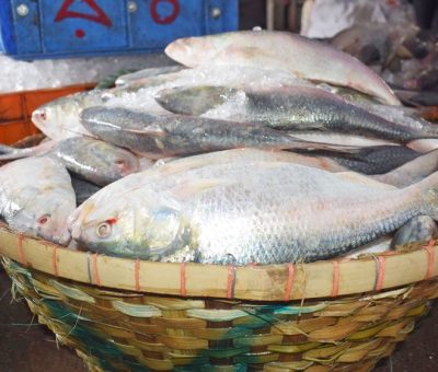 ভারতে ইলিশ রপ্তানির সিদ্ধান্ত বাণিজ্য মন্ত্রণালয়ের